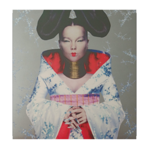 BJORK - Homogenic