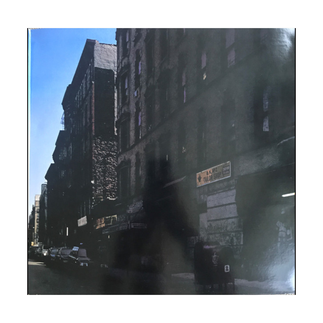 beastie boys paul's boutique (2 lp)
